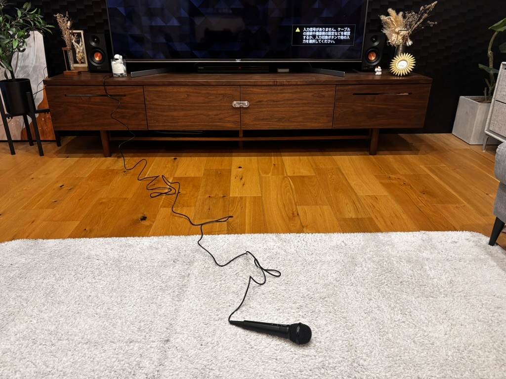 Switchに有線マイクを接続した様子